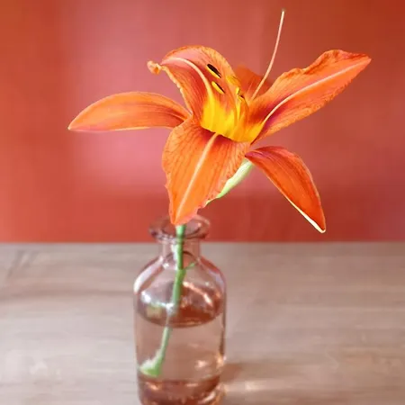 شقة La Campagne A La *