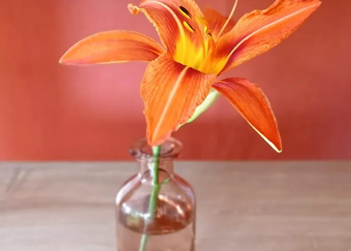 Apartamento La Campagne à La *